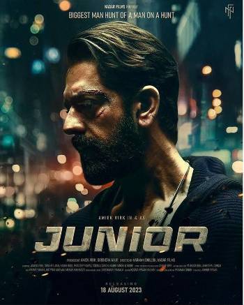 Download Junior 2023 Punjabi 5.1ch WEB-DL Movie 1080p 720p 480p HEVC